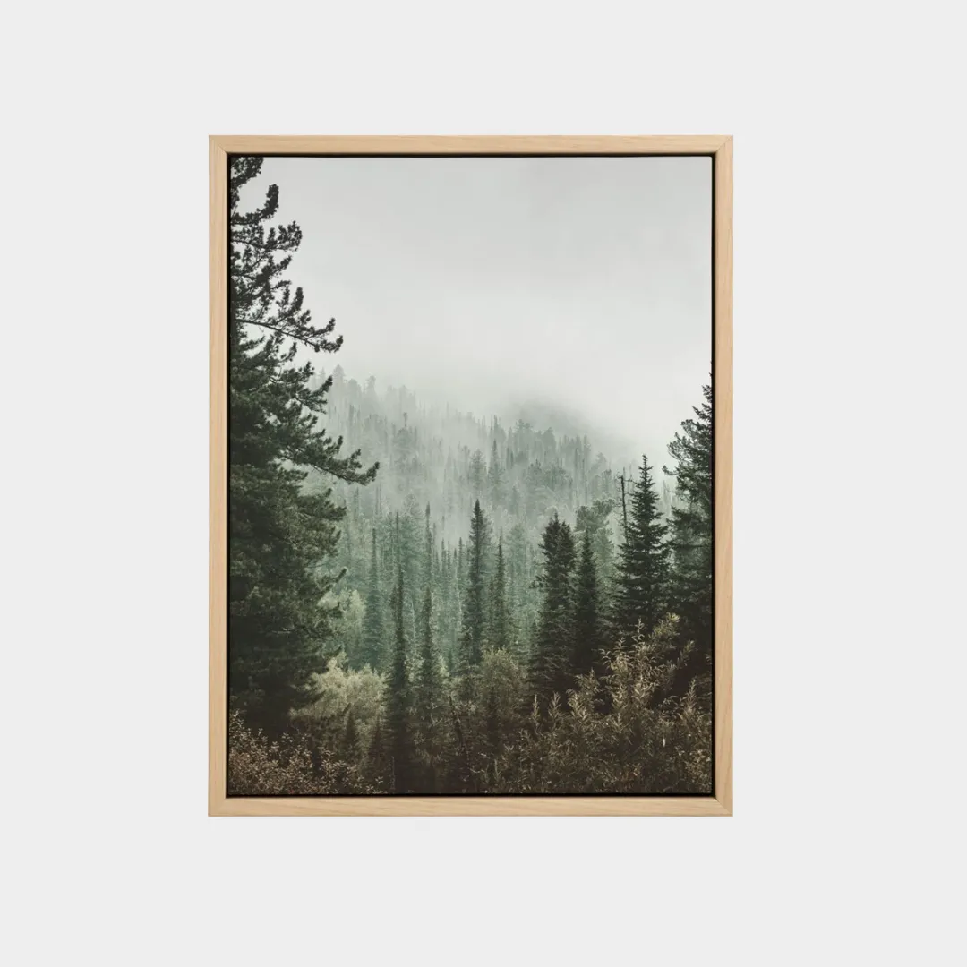 MountainCameraDaLetto-Quadro Foresta