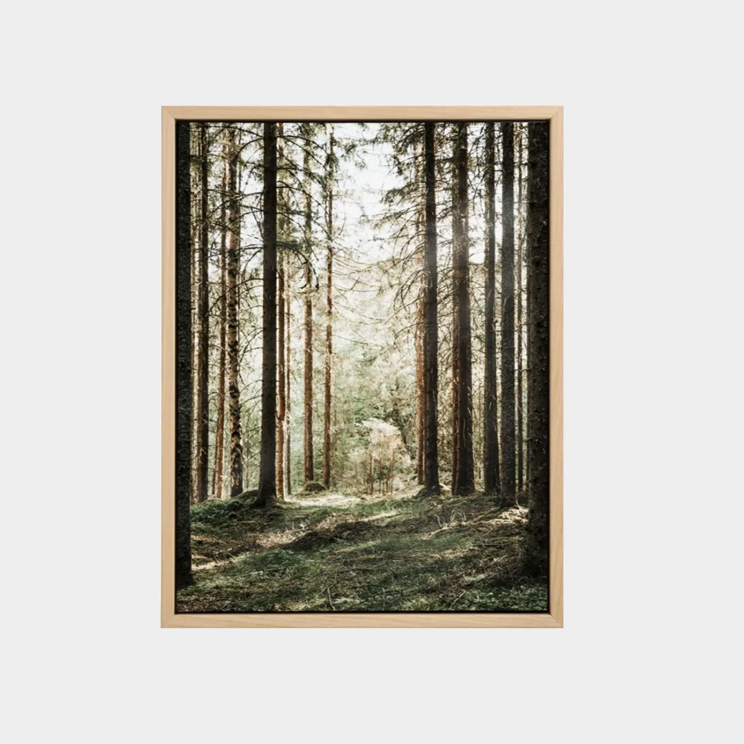 MountainCameraDaLetto-Quadro alberi