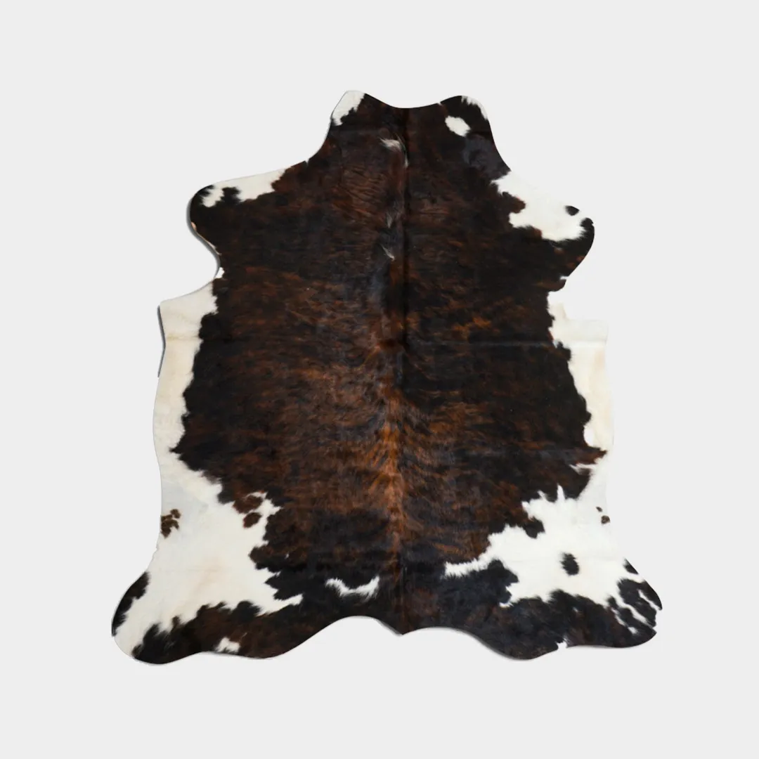 MountainCameraDaLetto-Tappeto