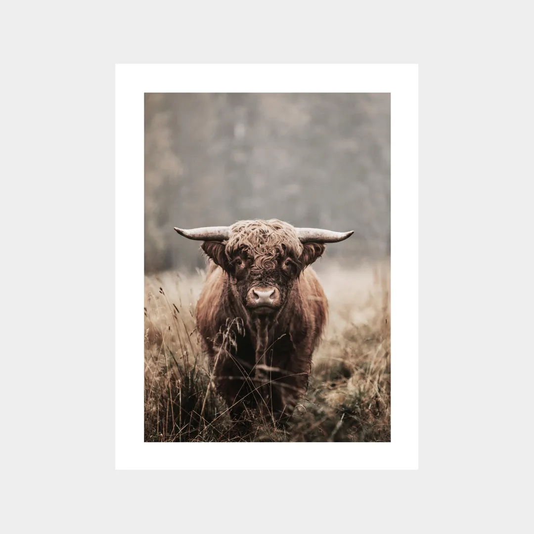 MountainSalotto-Poster di mucca